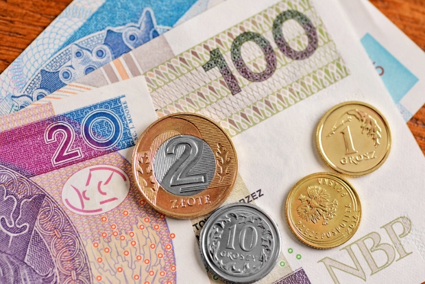 currency-of-the-euro-and-polish-zloty-poland-as-a-member-of-the